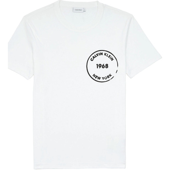 Textiel Heren T-shirts korte mouwen Calvin Klein Jeans K10K104509 Wit