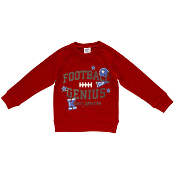 Textiel Kinderen Sweaters / Sweatshirts Chicco 09069212 Rood