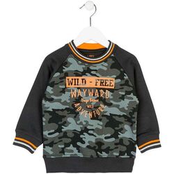 Textiel Kinderen Sweaters / Sweatshirts Losan 725 6008AC Groen