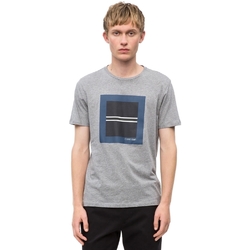 Textiel Heren T-shirts korte mouwen Calvin Klein Jeans K10K102679 Grijs