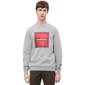 Textiel Heren Sweaters / Sweatshirts Calvin Klein Jeans K10K102722 Grijs