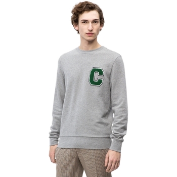 Textiel Heren Sweaters / Sweatshirts Calvin Klein Jeans K10K102891 Grijs