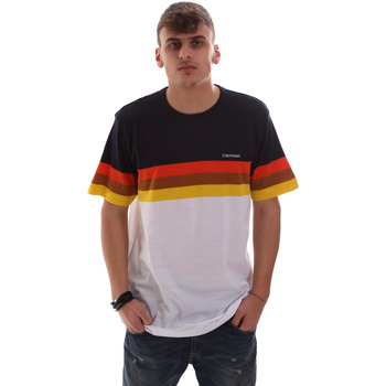 Textiel Heren T-shirts korte mouwen Calvin Klein Jeans K10K104375 Wit
