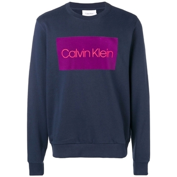 Textiel Heren Sweaters / Sweatshirts Calvin Klein Jeans K10K102973 Blauw