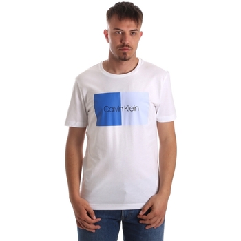 Textiel Heren T-shirts korte mouwen Calvin Klein Jeans K10K103497 Wit