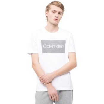 Textiel Heren T-shirts korte mouwen Calvin Klein Jeans K10K103654 Wit