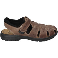 Schoenen Heren Sandalen / Open schoenen Enval 3247522 Bruin