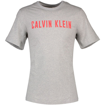 Textiel Heren T-shirts korte mouwen Calvin Klein Jeans 00GMF8K160 Grijs