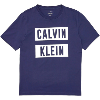 Textiel Heren T-shirts korte mouwen Calvin Klein Jeans 00GMT9K222 Blauw