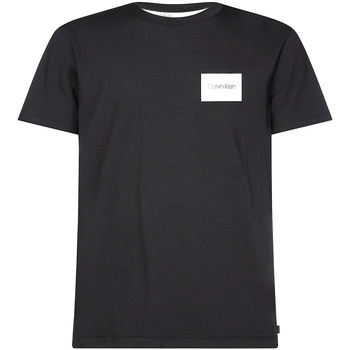 Textiel Heren T-shirts korte mouwen Calvin Klein Jeans K10K104939 Zwart