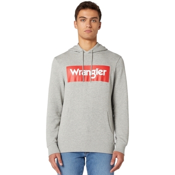 Textiel Heren Sweaters / Sweatshirts Wrangler W6B9HAX37 Grijs