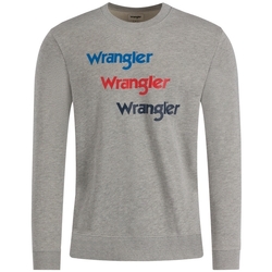 Textiel Heren Sweaters / Sweatshirts Wrangler W6A5HAX37 Grijs