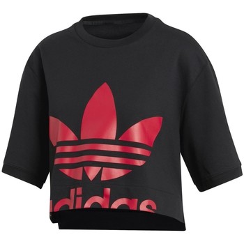 Textiel Dames Sweaters / Sweatshirts adidas Originals Crp. Sweatshirt Zwart