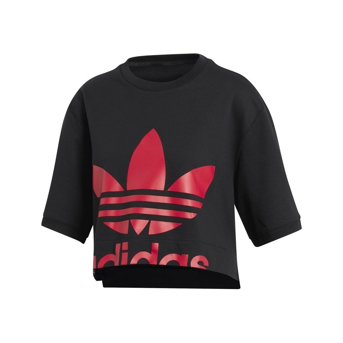 Textiel Dames Sweaters / Sweatshirts adidas Originals Crp. Sweatshirt Zwart