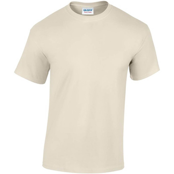 Textiel Heren T-shirts met lange mouwen Gildan GD05 Beige