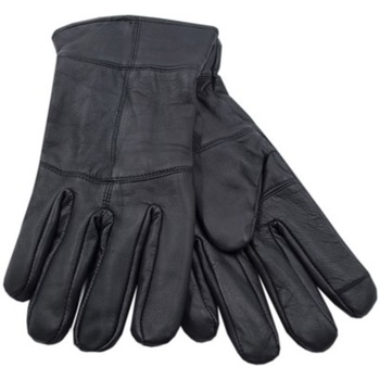Accessoires Heren Handschoenen Heatguard  Zwart
