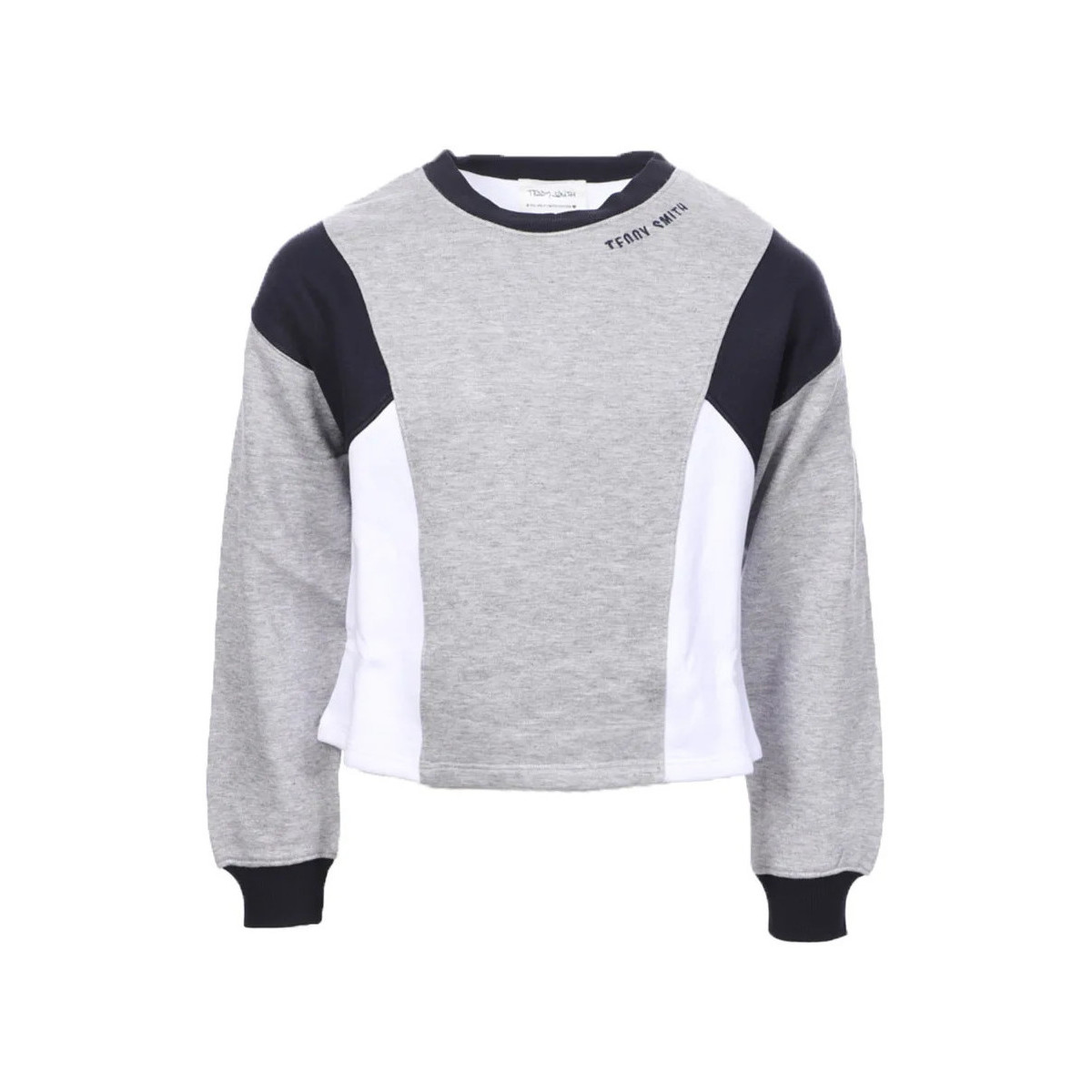 Textiel Meisjes Sweaters / Sweatshirts Teddy Smith  Grijs