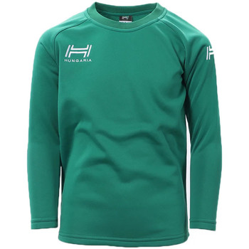Textiel Jongens Sweaters / Sweatshirts Hungaria  Groen