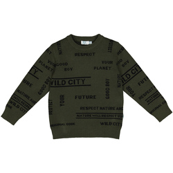 Textiel Kinderen Sweaters / Sweatshirts Melby 40B2032 Groen