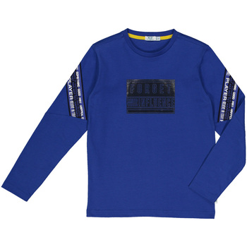 Textiel Kinderen Sweaters / Sweatshirts Melby 60C0134 Blauw