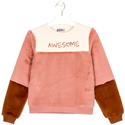 Textiel Kinderen Sweaters / Sweatshirts Losan 024-6019AL Beige
