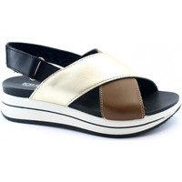 Schoenen Dames Sandalen / Open schoenen IgI&CO IGI-E21-7161266-BI Bruin