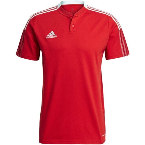 Textiel Heren T-shirts & Polo’s Adidas Sportswear  Other