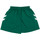 Textiel Meisjes Korte broeken / Bermuda's hummel  Groen