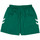 Textiel Heren Korte broeken / Bermuda's hummel  Groen