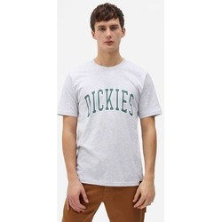 Textiel Heren T-shirts korte mouwen Dickies T-shirt  Aitkin gris chiné/vert