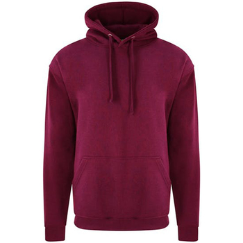 Textiel Heren Sweaters / Sweatshirts Pro Rtx RX350 Multicolour