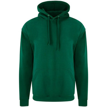 Textiel Heren Sweaters / Sweatshirts Pro Rtx RX350 Groen