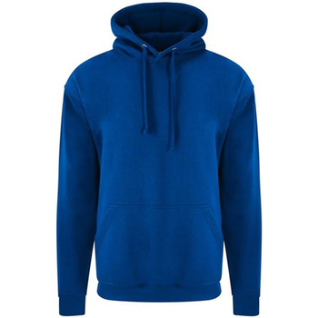 Textiel Heren Sweaters / Sweatshirts Pro Rtx RX350 Blauw