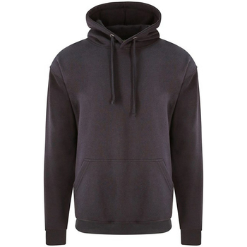 Textiel Heren Sweaters / Sweatshirts Pro Rtx RX350 Grijs