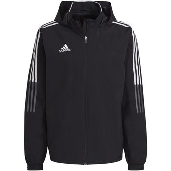 Textiel Heren Wind jackets Adidas Sportswear  Zwart