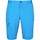Textiel Heren Korte broeken / Bermuda's Icepeak  Blauw