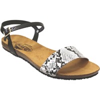 Schoenen Dames Sandalen / Open schoenen Plakton Mam-ambo-575725 Zwart wit