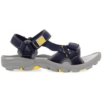 Schoenen Kinderen Sandalen / Open schoenen Gioseppo SANDALIAS NIO  DUVAL 59029 Grijs
