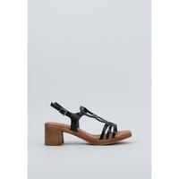 Schoenen Dames Sandalen / Open schoenen Sandra Fontan LUCIE Zwart