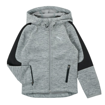 Textiel Jongens Sweaters / Sweatshirts Puma EVOSTRIPE FZ HOODED JACKET Grijs
