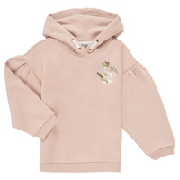 Textiel Meisjes Sweaters / Sweatshirts Puma ALPHA HOODIE Roze