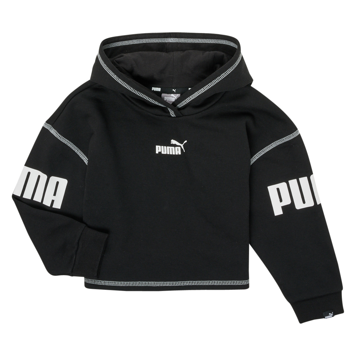 Textiel Meisjes Sweaters / Sweatshirts Puma PUMA POWER HOODIE Zwart