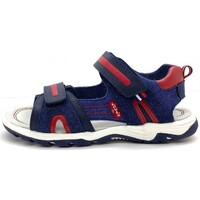 Schoenen Sandalen / Open schoenen Levi's 25273-18 Blauw