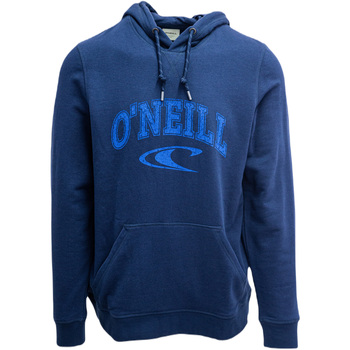 Textiel Heren Sweaters / Sweatshirts O'neill LM State Blauw
