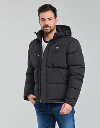 Textiel Heren Wind jackets Dickies GLACIER VIEW COAT Zwart