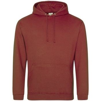 Textiel Sweaters / Sweatshirts Awdis College Rood
