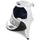 Schoenen Dames Sandalen / Open schoenen Roberto Cavalli TPS016 Wit