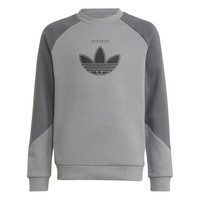 Textiel Kinderen Sweaters / Sweatshirts adidas Originals DREZZ Grijs