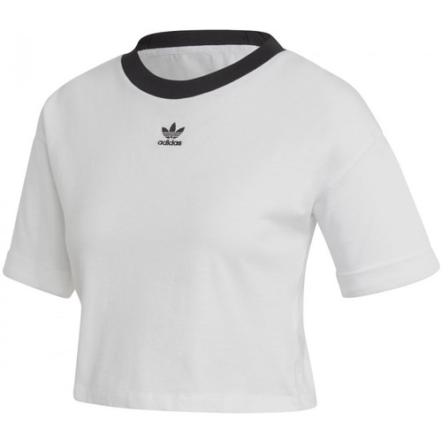 Textiel Dames T-shirts & Polo’s adidas Originals Crop Top Wit