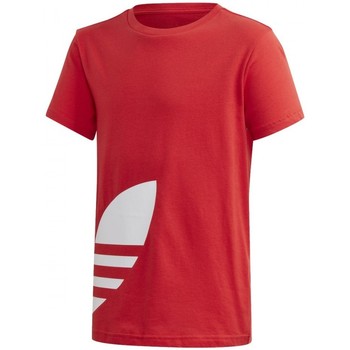Textiel Jongens T-shirts korte mouwen adidas Originals Big Trefoil Tee Rood